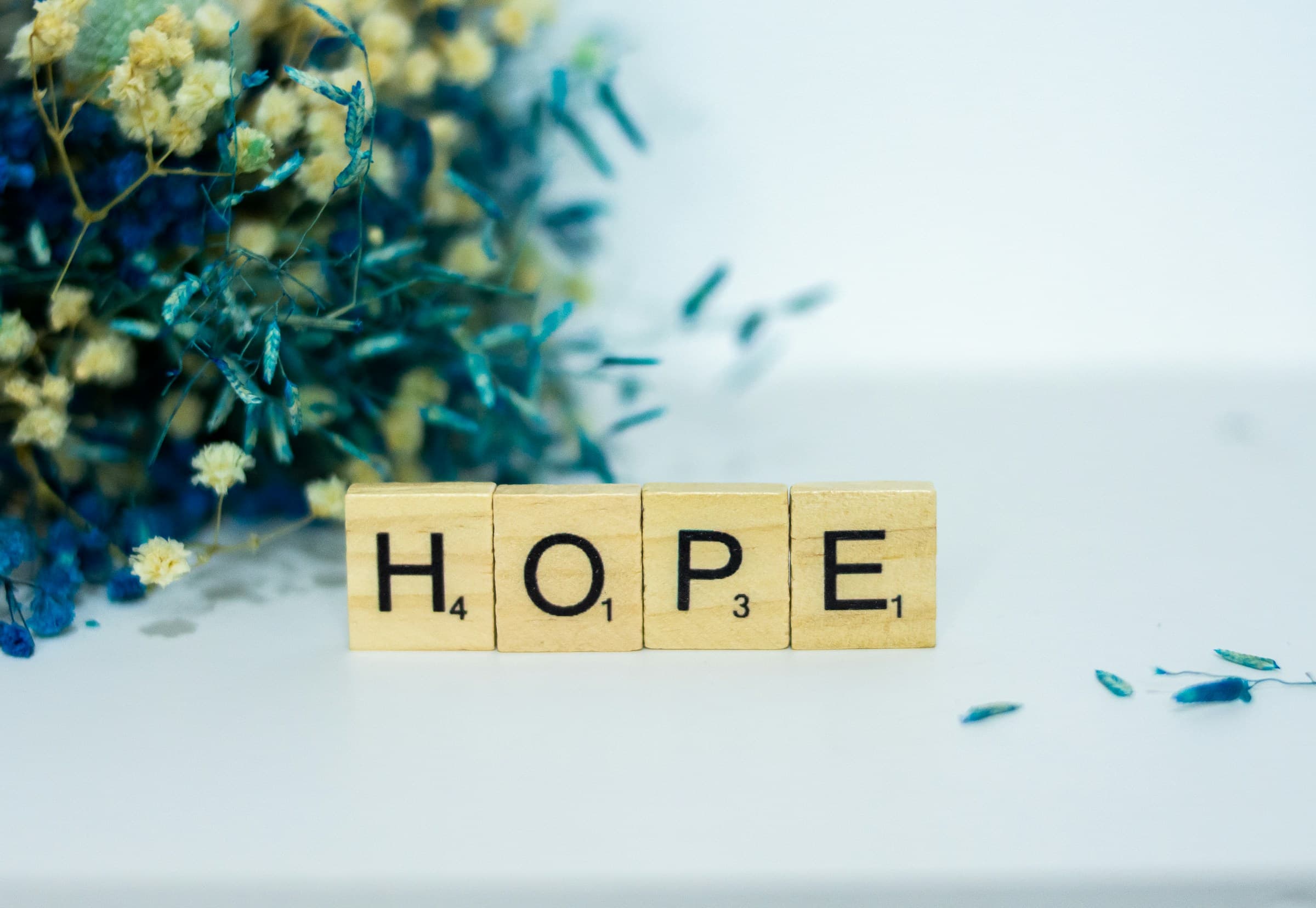 꽃 옆에 HOPE 글자가 놓인 이미지